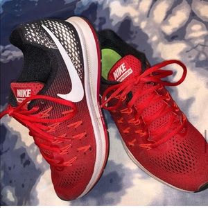 Nike Pegasus 33